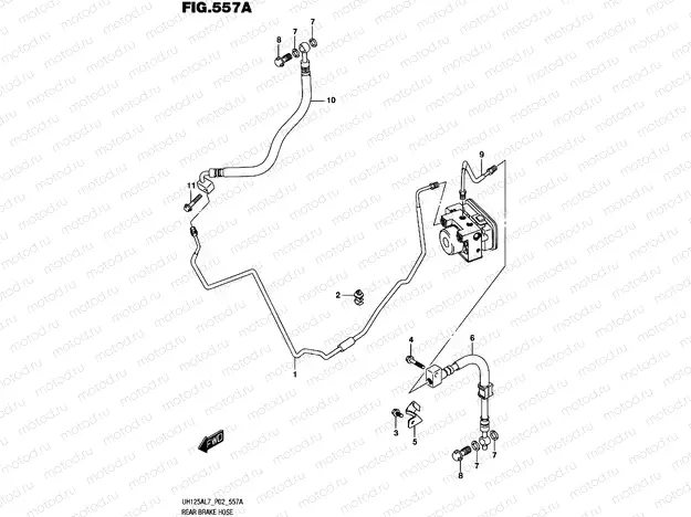 557A - REAR BRAKE HOSE