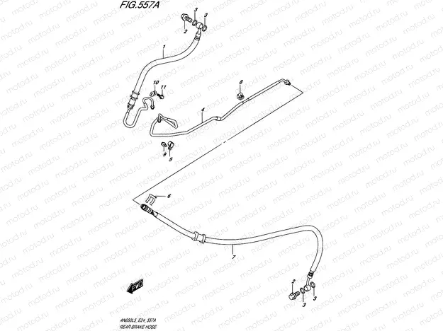 557A - REAR BRAKE HOSE