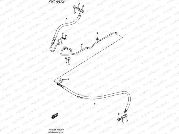 557A - REAR BRAKE HOSE
