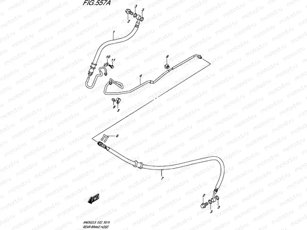 557A - REAR BRAKE HOSE