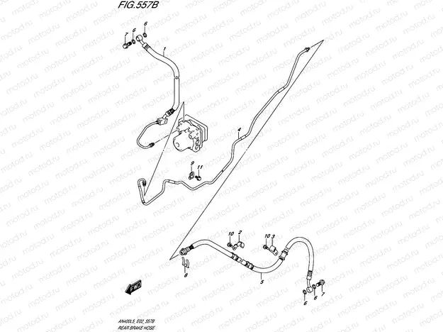 557B - REAR BRAKE HOSE (AN400AL5 E02)