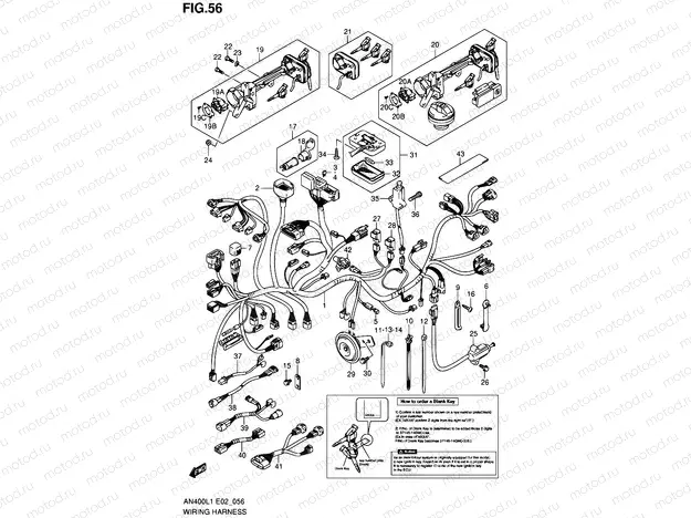 56 - WIRING HARNESS (IMOBI) (AN400AL1 E24)