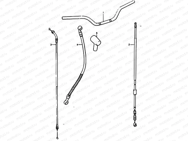 57 - OPTIONAL