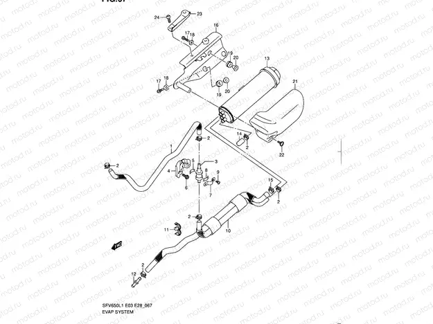 67 - EVAP SYSTEM (SFV650AL1 E33)