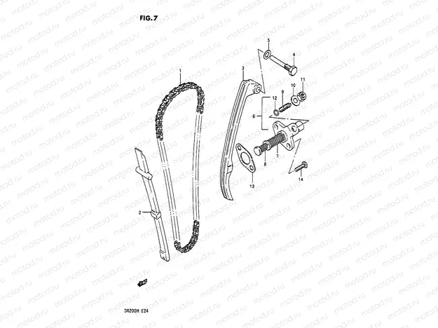 7 - CAM CHAIN
