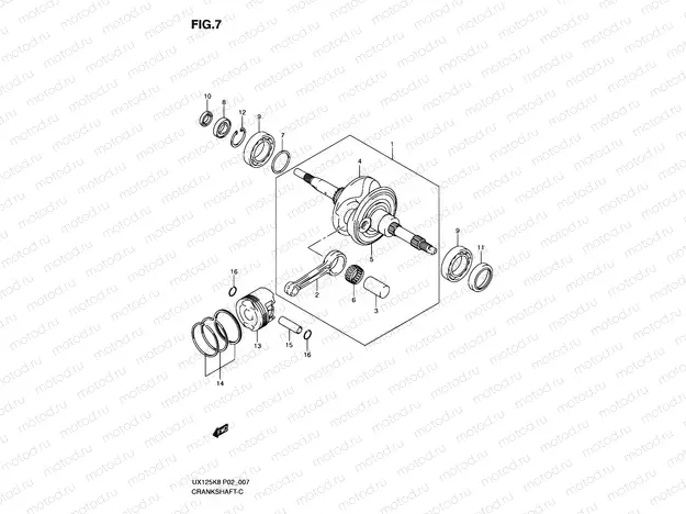 7 - CRANKSHAFT