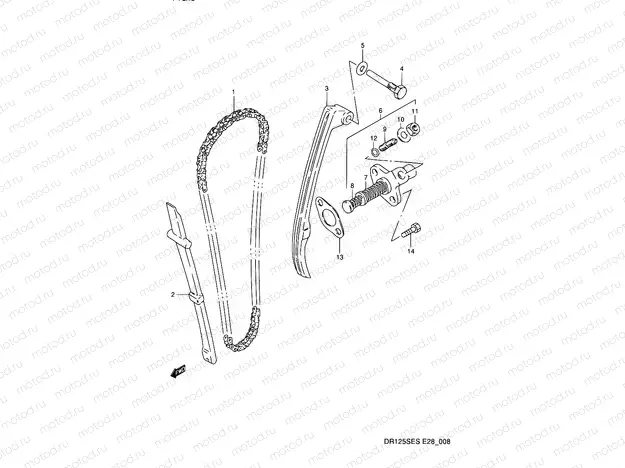 8 - CAM CHAIN