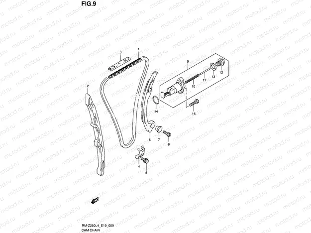 9 - CAM CHAIN
