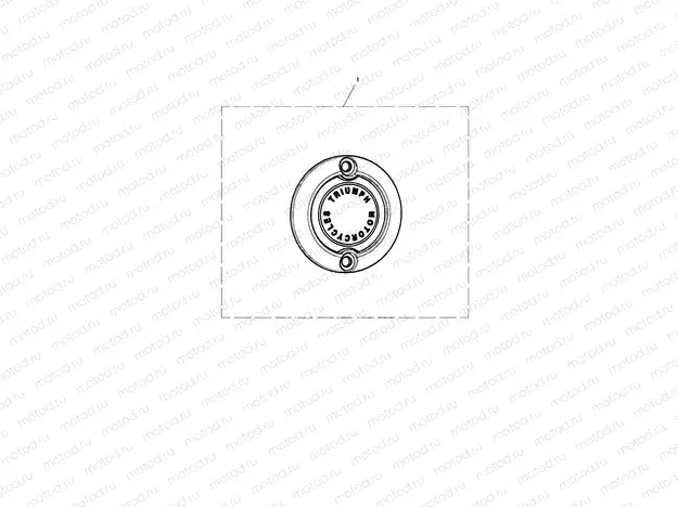 ACG Badge
