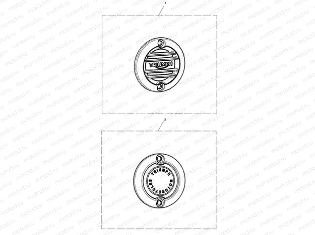 ACG Badge