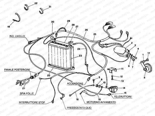 BATTERY FM <016055 » WIRING HARNESS