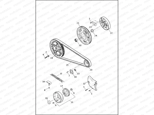 BELT & SPROCKETS - 883L/N/R, 1200C/CA/CB/CP/V/X