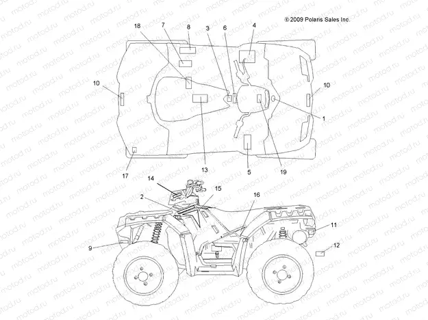BODY | BODY, DECALS - A10ZN85AL/AQ/AX (49ATVDECAL10SP850)
