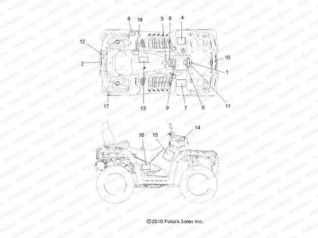 BODY | BODY, DECALS - A11DX55FL (49ATVDECAL11SPTRGEPS550I)