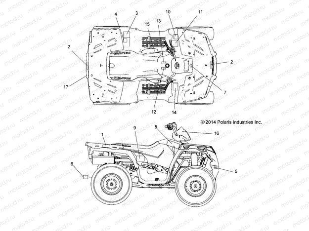 BODY | BODY, DECALS - A15SEA32AA/AH (49ATVDECAL15SPETX)