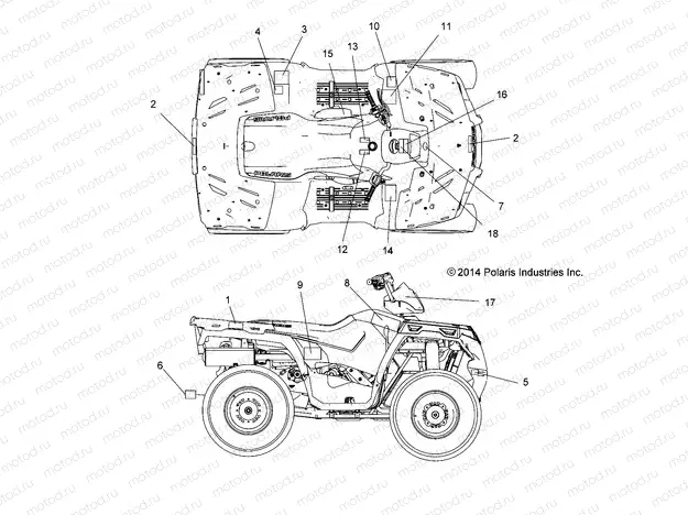 BODY | BODY, DECALS - A15SEE57AA/AC/AJ (49ATVDECAL1570EPS)