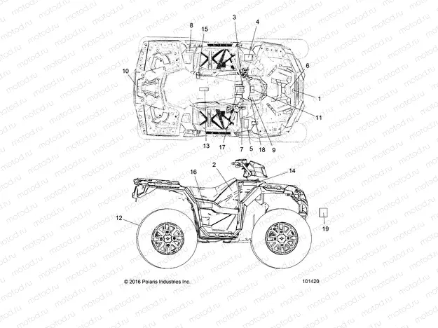 BODY | BODY, DECALS - A18SXS95CC/CR/EC/ER (101420)