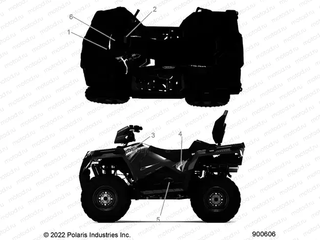 BODY | BODY, DECALS GRAPHIC - A23SDS57C4 (900606)