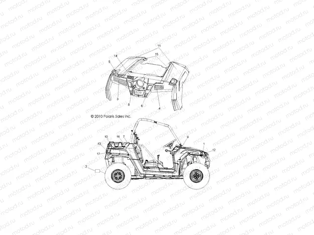 BODY | BODY, DECALS - R11VH76/VY76 ALL OPTIONS (49RGRDECAL11RZR)