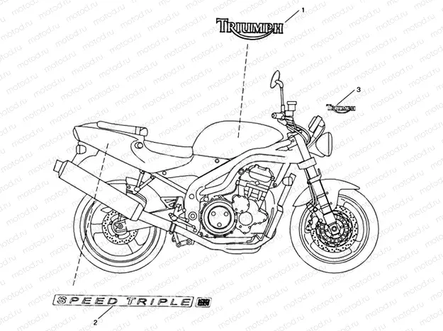 Bodywork Decals