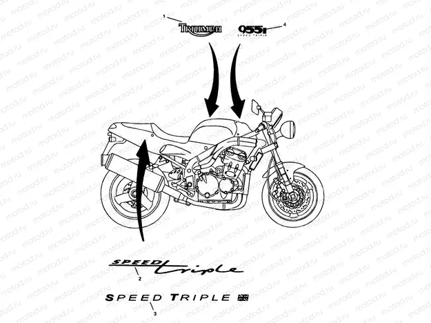 Bodywork Decals 955cc Engine