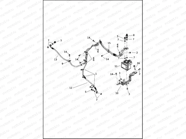BRAKE LINES, REAR