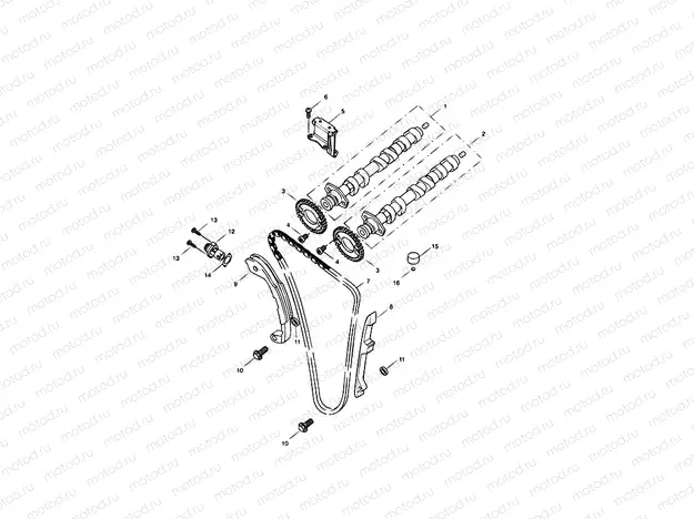 Camshaft and Drive