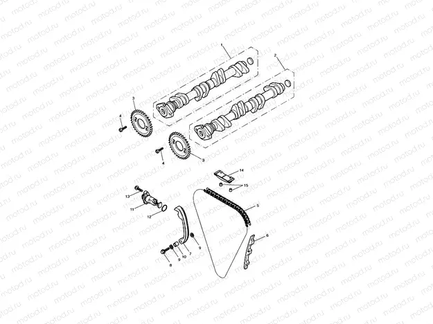 Camshaft and Drive
