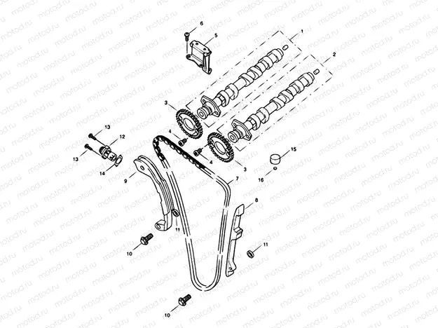 Camshaft & Camshaft Drive