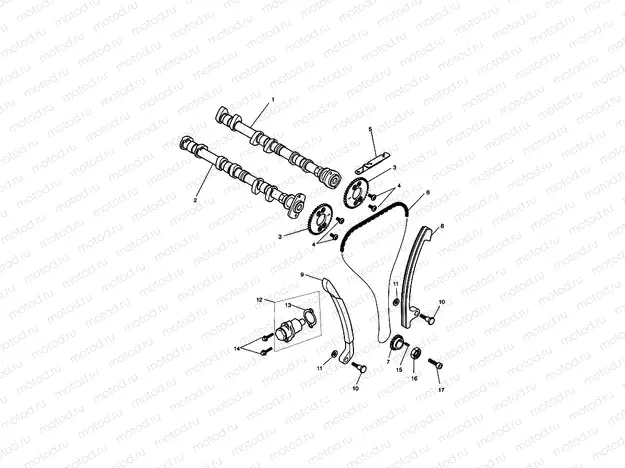 Camshaft & Camshaft Drive