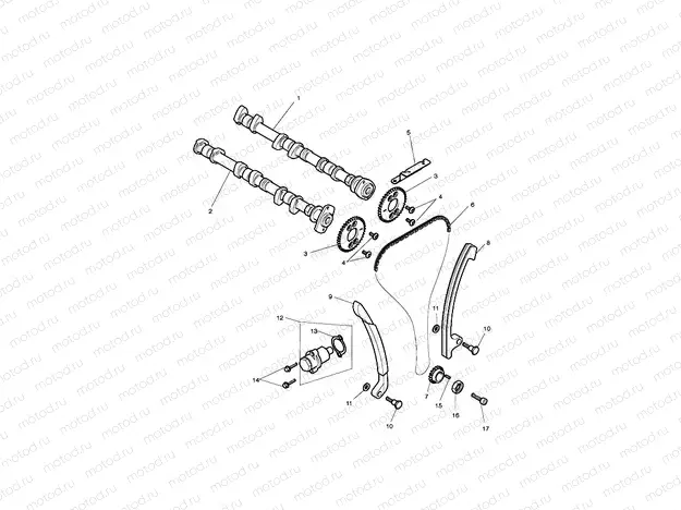 Camshaft & Camshaft Drive