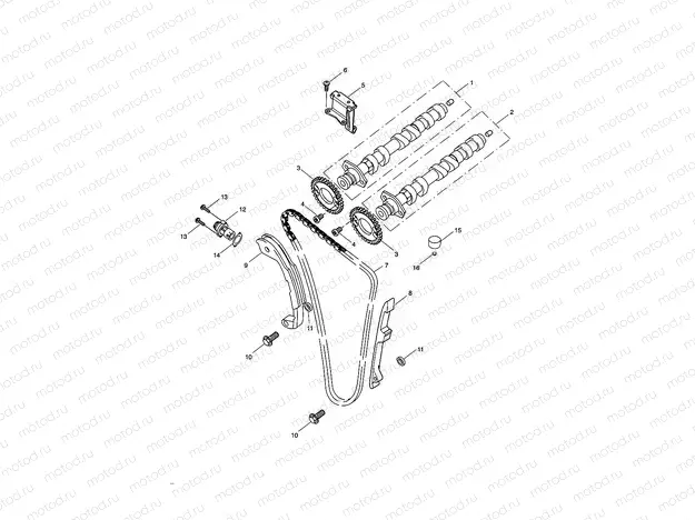 Camshaft & Camshaft Drive