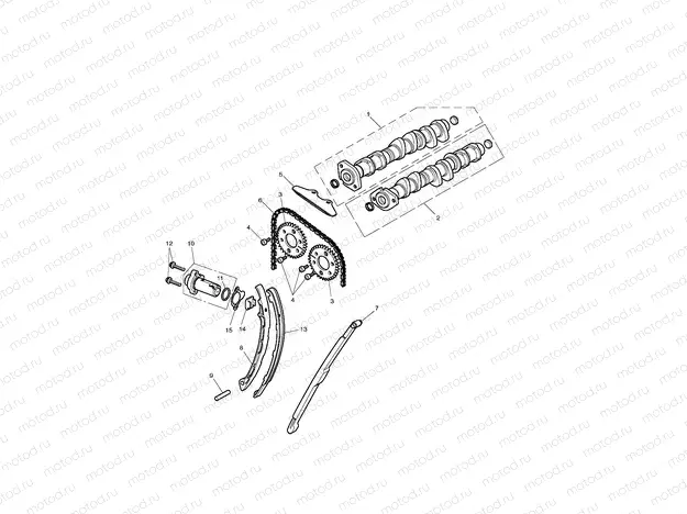 Camshaft & Camshaft Drive