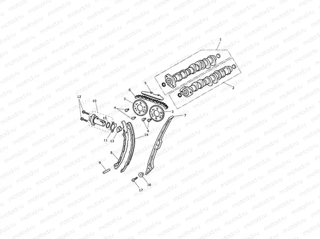 Camshaft & Camshaft Drive