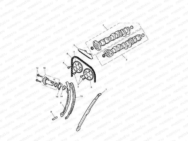 Camshaft & Camshaft Drive