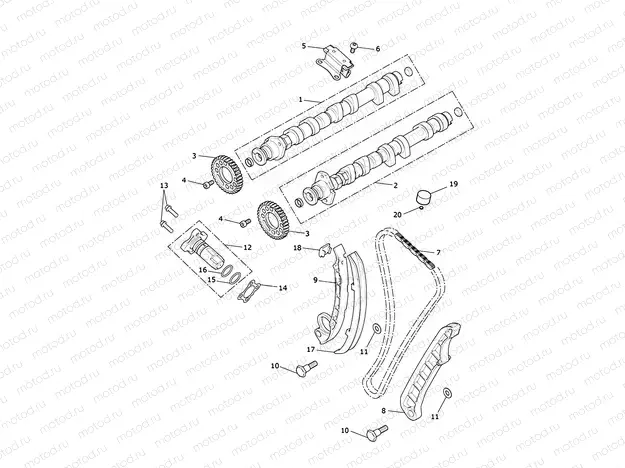 Camshaft & Camshaft Drive