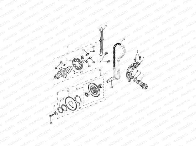 Camshaft & Camshaft Drive