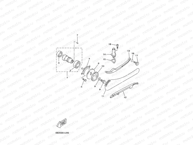 CAMSHAFT & CHAIN