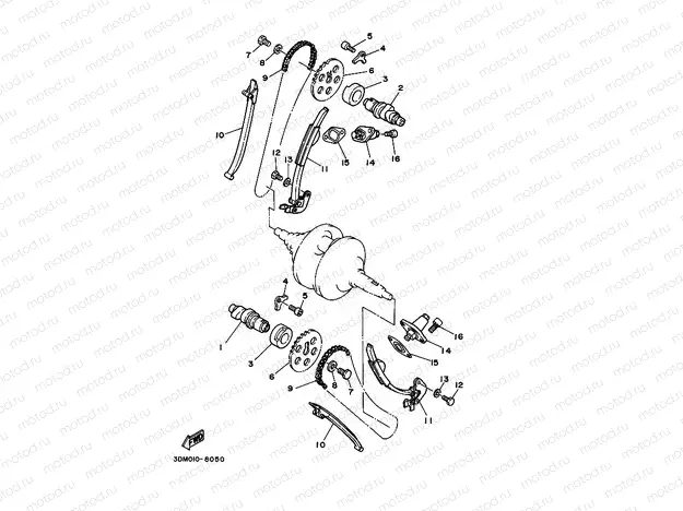 CAMSHAFT & CHAIN