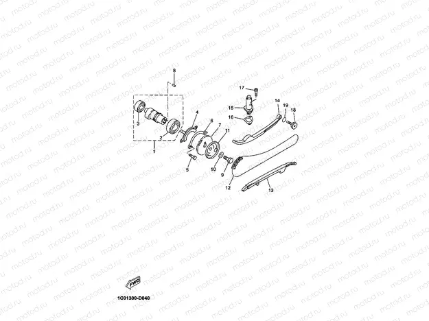 CAMSHAFT & CHAIN