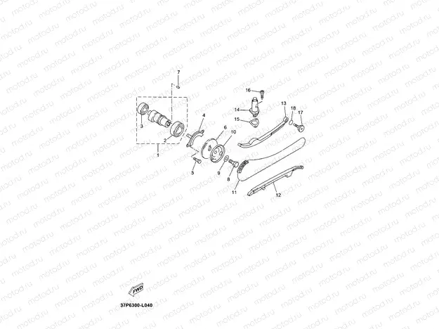 CAMSHAFT & CHAIN