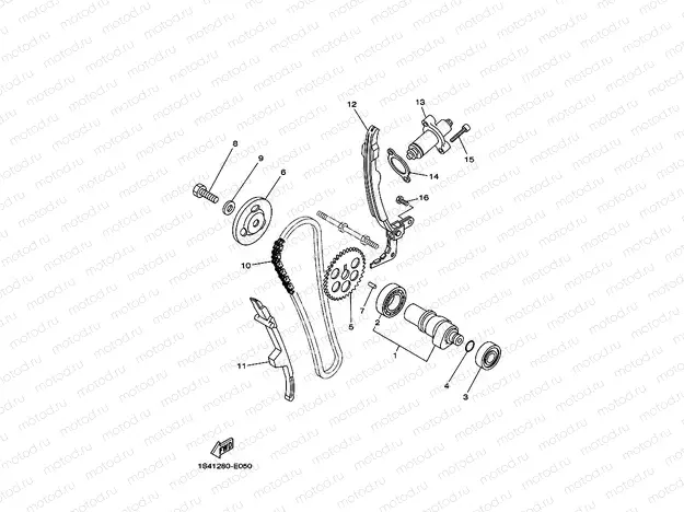 CAMSHAFT & CHAIN