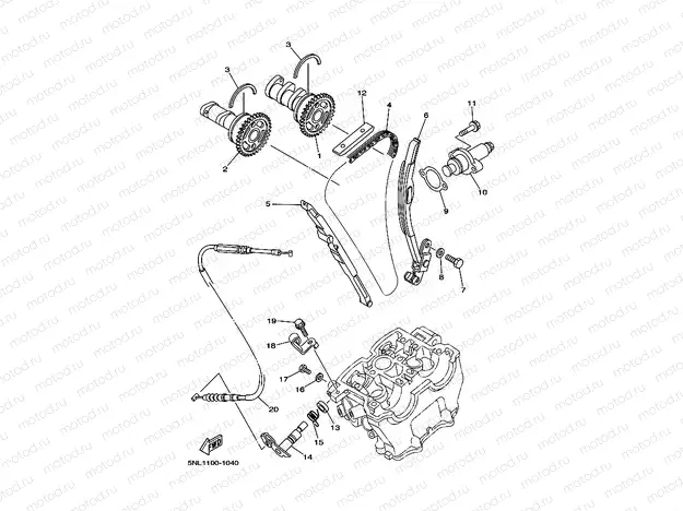 CAMSHAFT & CHAIN