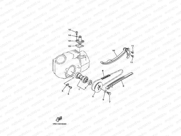 CAMSHAFT & CHAIN