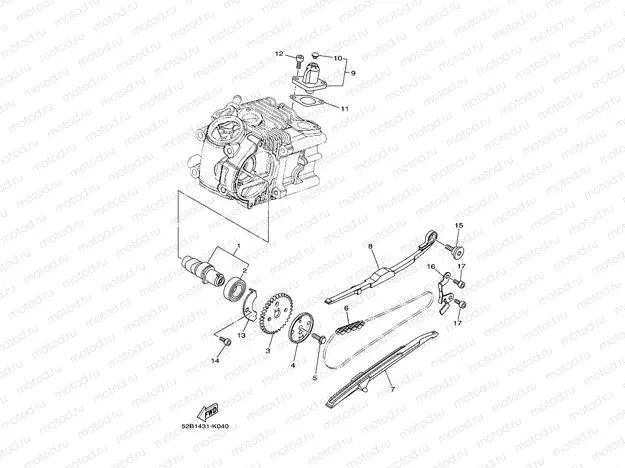 CAMSHAFT & CHAIN