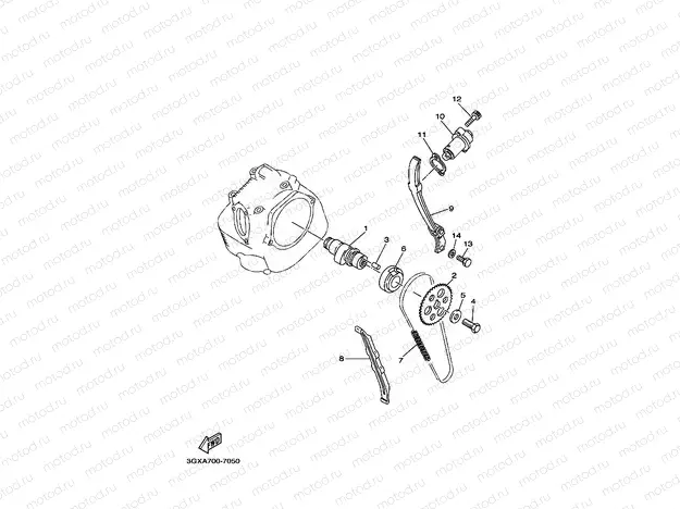 CAMSHAFT & CHAIN