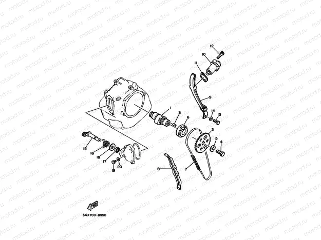 CAMSHAFT & CHAIN