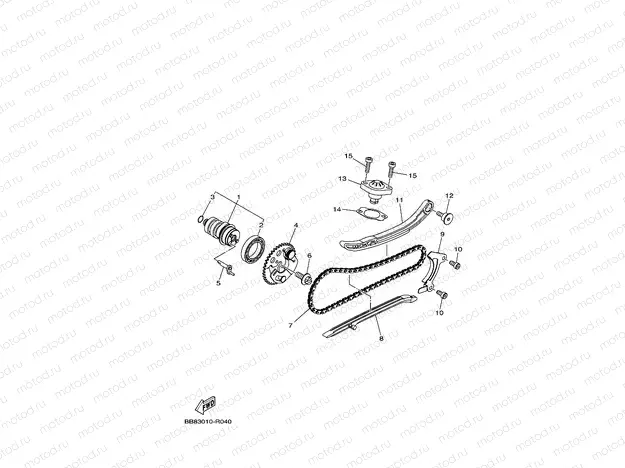 CAMSHAFT & CHAIN