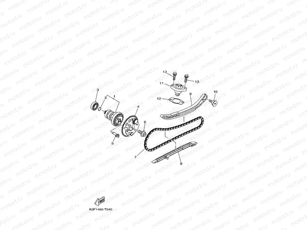 CAMSHAFT & CHAIN