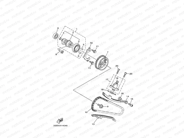 CAMSHAFT & CHAIN